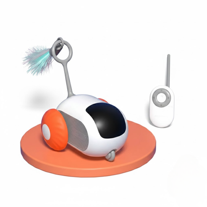 Remote Controlled Pet Toy