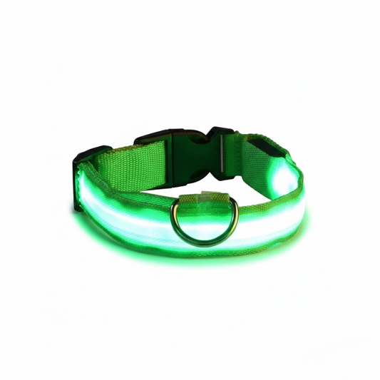 LED Rechargeable Dog Collar