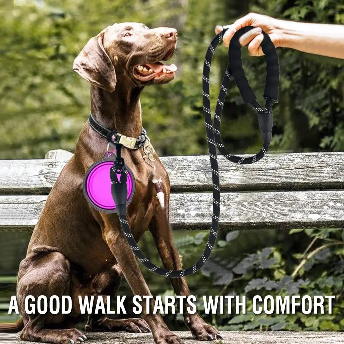 Durable Reflective Dog Leash for All Breeds - Perfect for Big, Small, and Medium Dogs!