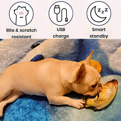 Exciting Interactive USB Rechargeable Fish Toy for Cats