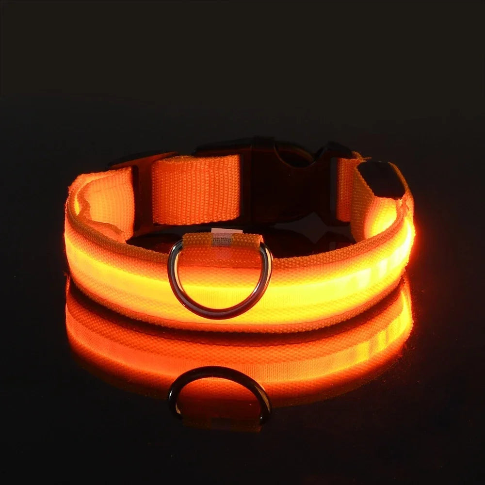 Illuminate Your Dog's Safety with Our LED Nylon Glow-in-the-Dark Dog Collar - Perfect for All Seasons!
