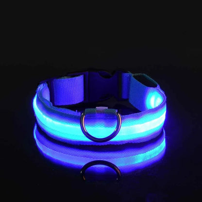 Illuminate Your Dog's Safety with Our LED Nylon Glow-in-the-Dark Dog Collar - Perfect for All Seasons!