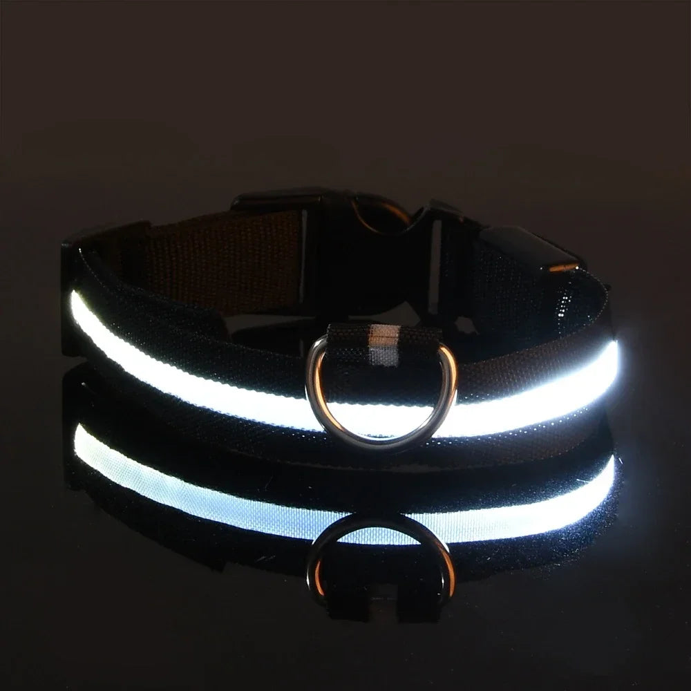 Illuminate Your Dog's Safety with Our LED Nylon Glow-in-the-Dark Dog Collar - Perfect for All Seasons!