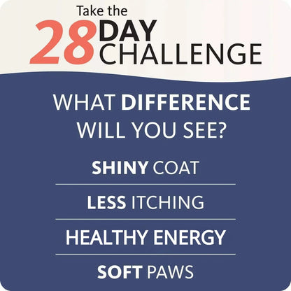 Elevate Your Dog's Health with Brand 200Ml PET BRILLIANT Pure Salmon Oil - Natural Nutritional Supplement Packed with 21 Omega Fatty Acids!