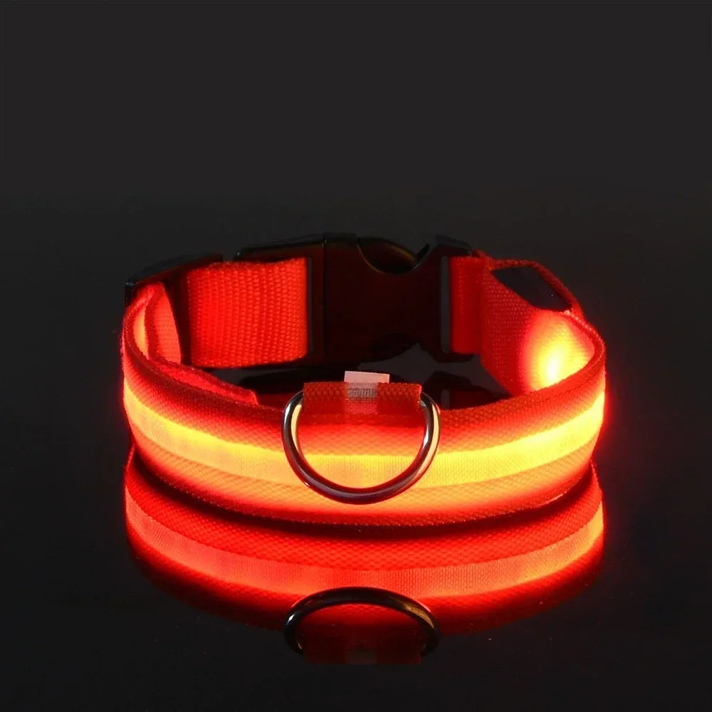 Illuminate Your Dog's Safety with Our LED Nylon Glow-in-the-Dark Dog Collar - Perfect for All Seasons!