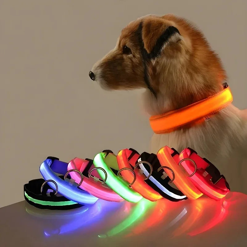 Illuminate Your Dog's Safety with Our LED Nylon Glow-in-the-Dark Dog Collar - Perfect for All Seasons!