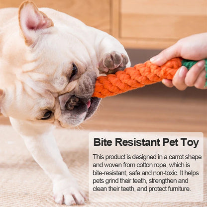 Ultimate Durable Braided Cotton Dog Toy for Endless Fun and Safe Play