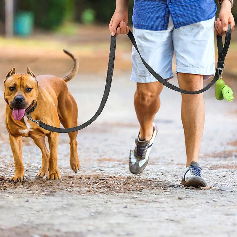Durable Night Reflection Dog Harness and Leash Set for Safe Walks - Perfect for All Breeds