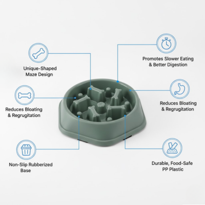 Non-Slip Slow Feeder Bowl for Pets