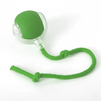 Electronic Bouncing Pet Ball