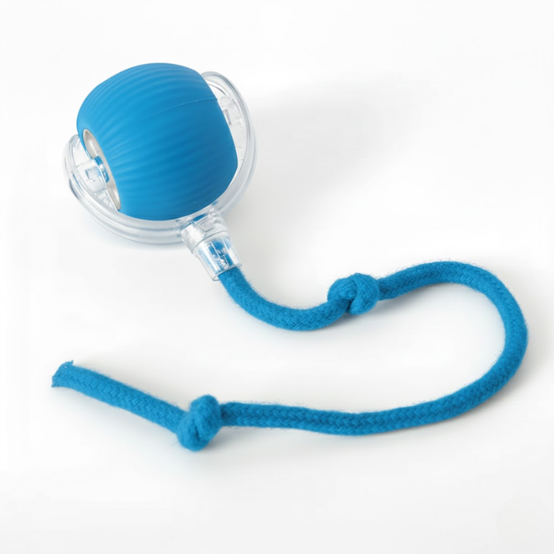 Electronic Bouncing Pet Ball