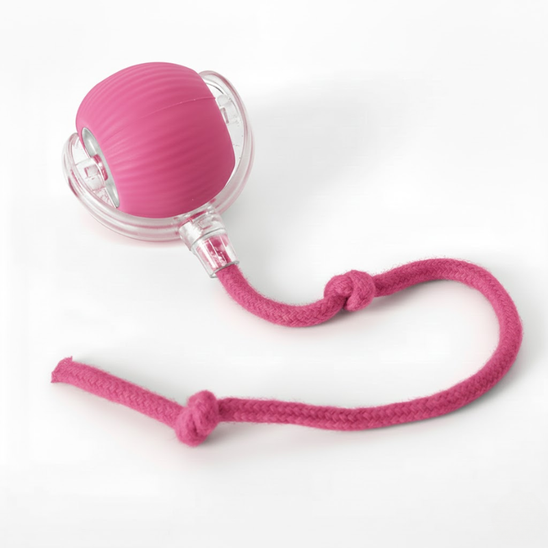 Electronic Bouncing Pet Ball