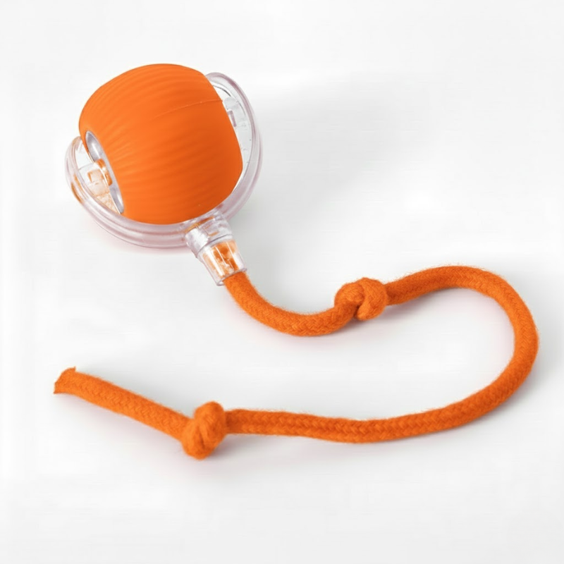 Electronic Bouncing Pet Ball